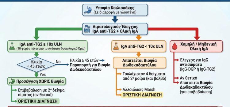 Νέες Κατευθυντήριες Οδηγίες στη Διάγνωση της Κοιλιοκάκης στους Ενήλικες