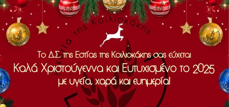 Ευχές για Χριστούγεννα 2024 και Νέο Έτος 2025!